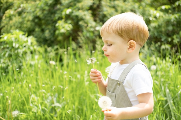 Heureux garçon blond mignon enfant soufflant fleur de dendelion dans le parc verdoyant.