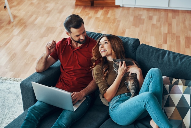 Heureux jeune couple en vêtements décontractés se liant à un chat domestique et souriant tout en se reposant sur le canapé à l'intérieur