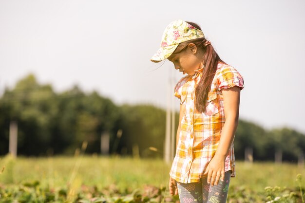 Heureux jeune enfant fille cueillir et manger des fraises dans une plantation