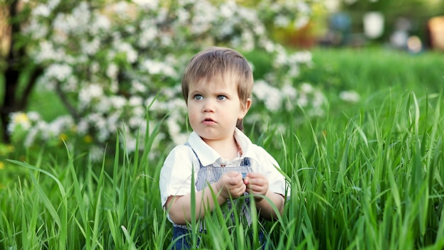 Heureux petit enfant en combinaison bleue à la mode avec de beaux yeux bleus. Des jeux amusants dans de hautes herbes vertes dans un parc fleuri et verdoyant sur fond de pommier.