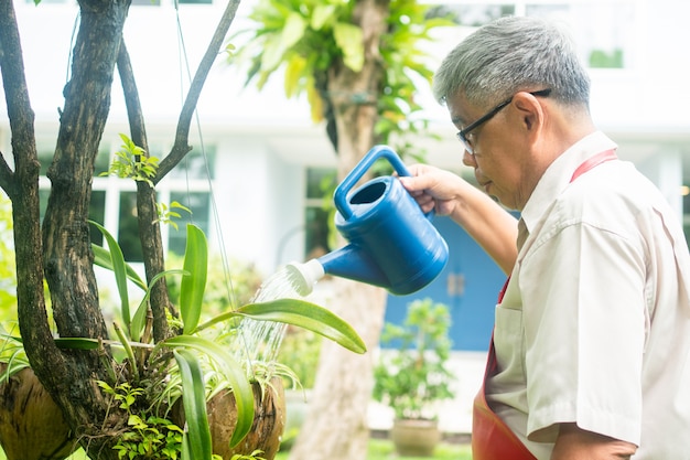 Heureux et souriant vieil homme âgé asiatique arrose les plantes