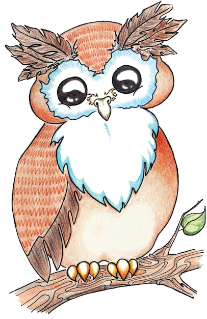 Hibou animal de dessin animé sur une branche d'arbre isolée