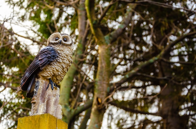 Photo un hibou en bois est assis sur une souche d'arbre dans les bois.