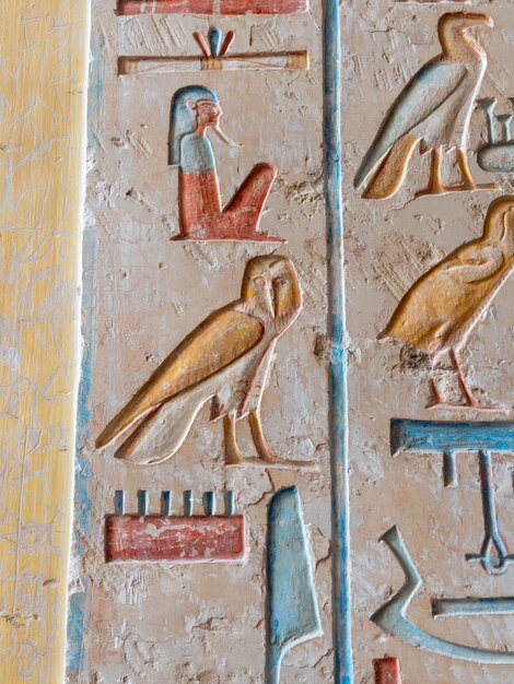 Les hiéroglyphes de la vallée des rois à Louxor, en Égypte