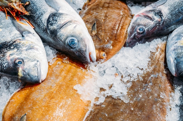 High Angle Still Life de variété de poisson frais cru de refroidissement sur lit de glace froide dans l'échoppe de marché de fruits de mer