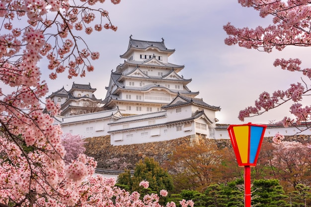 Himeji Japon au château de Himeji pendant la saison des fleurs de cerisier au printemps