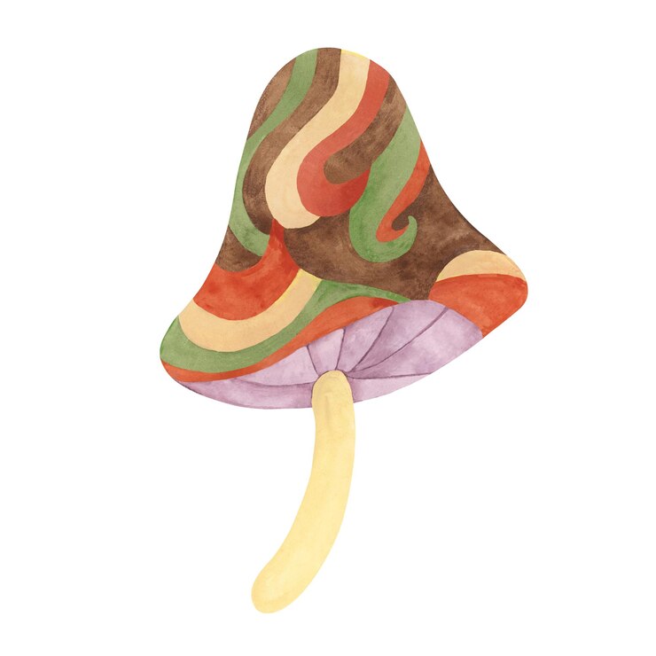 Photo hippie groovy champignon style des années 1970 clipart psychédélique de champignon aquarelle illustration funky pour l'impression d'autocollants flyers t-shirts