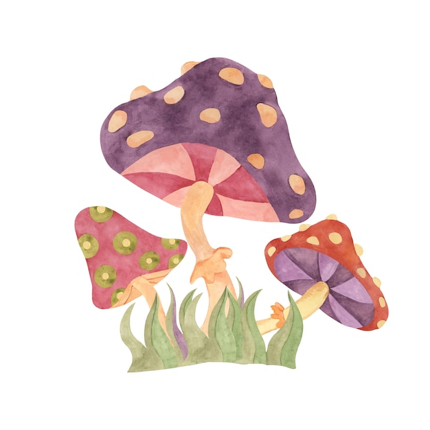 Hippie rétro mouche champignon agaric dans les années 1970 style hippie psychédélique groovy cliparts champignon aquarelle