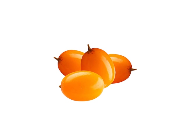 Hippophae rhamnoides Les baies de l'épinette sont comestibles et nutritives