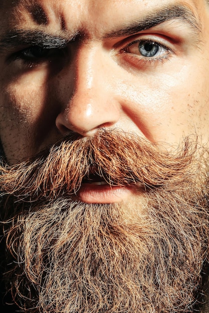 Hipster barbu sérieux