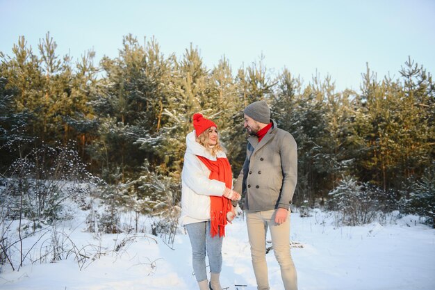 Histoire d'amour de couple de neige d'hiver