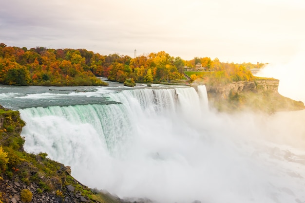 Historique ny sunset nature flowing