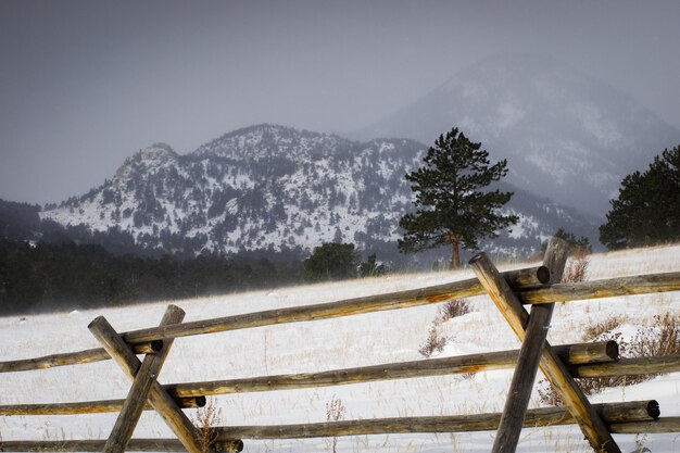 L'hiver au ranch.