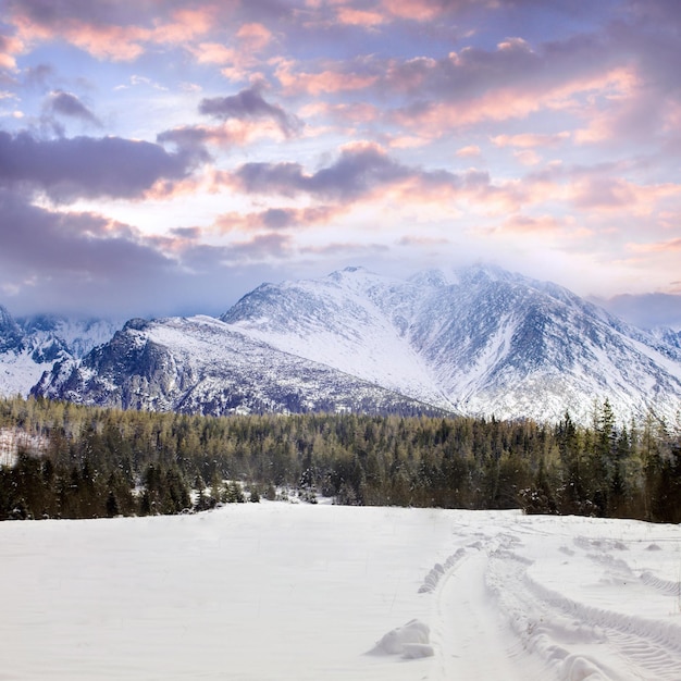 Hiver beau paysage