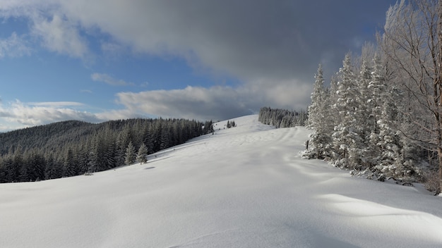 Photo l'hiver dans les montagnes des carpates