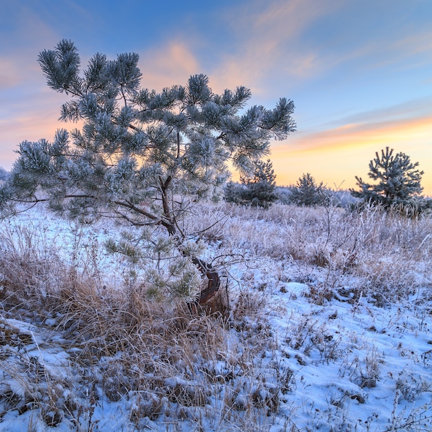 Hiver dans la neige en Russie.