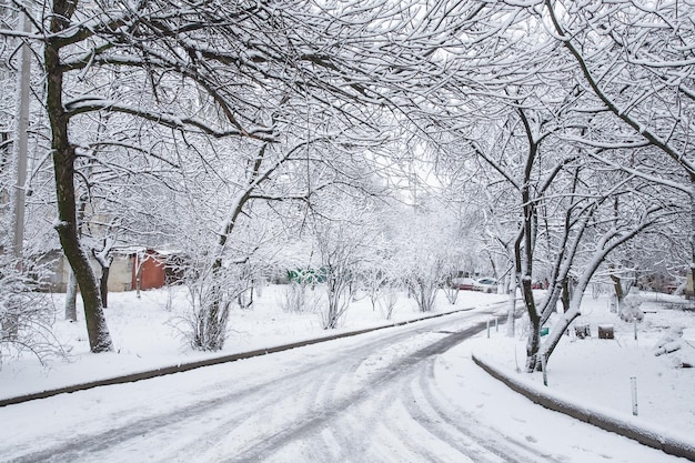 L'hiver dans le parc de la ville