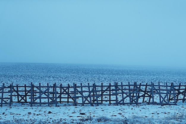 Hiver dans le village russe / paysage d'hiver, forêt en Russie, arbres enneigés de la province