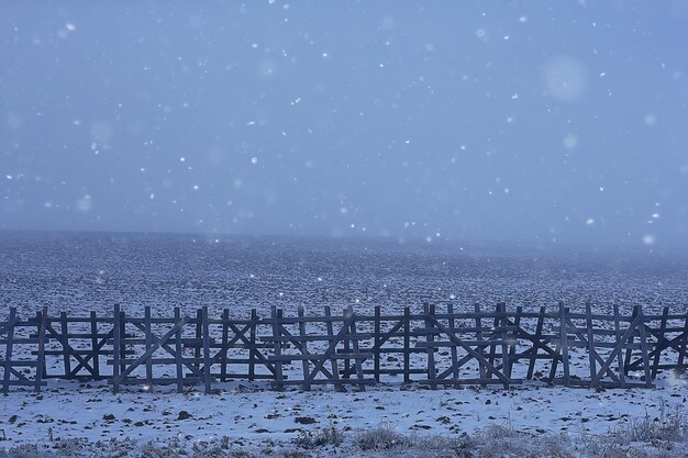 Hiver dans le village russe / paysage d'hiver, forêt en Russie, arbres enneigés de la province