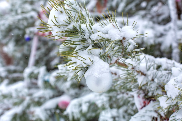 L'hiver, il neige. Des décorations festives sont accrochées aux branches d'un arbre de Noël, couvertes de neige. Arbre de Noël décoré dans la rue dans l'après-midi.