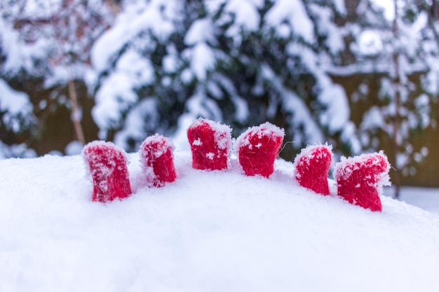 hiver nature morte petites bottes rouges sur la neige