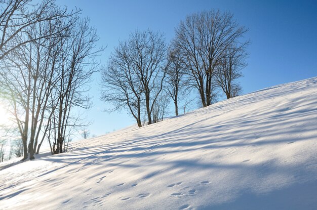 Hiver, paysage en montagne