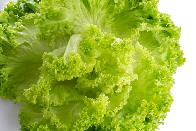 Photo hojas de lechuga italiana con fondo blanco