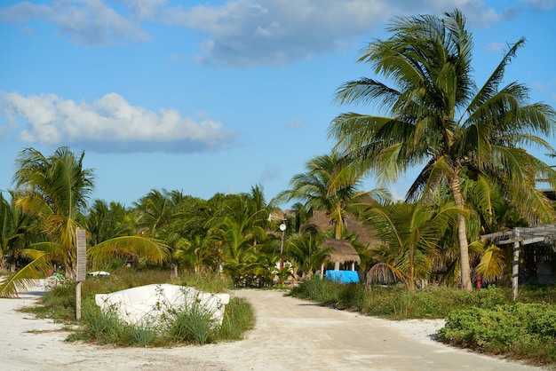 Holbox île tropicale palmier Mexique