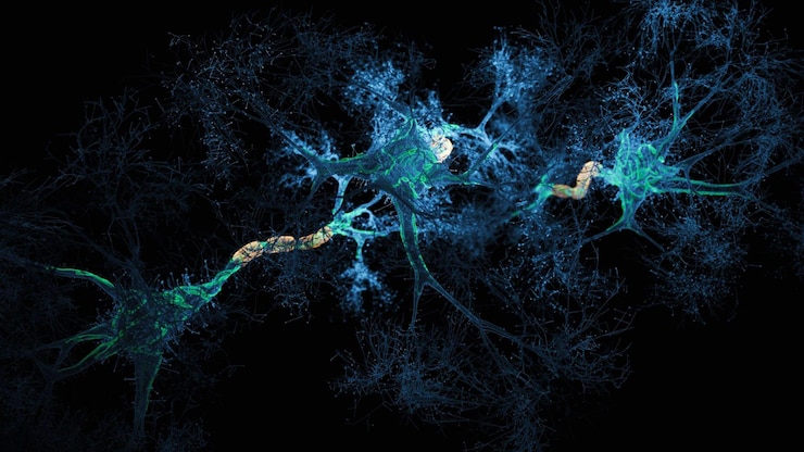 Photo hologramme du système neuronal image rendue en 3d du réseau de cellules neuronales sur fond noir vue hologramme
