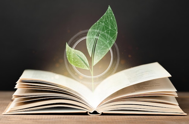 un hologramme numérique sous la forme d'une jeune plante pousse à partir d'un livre ouvert