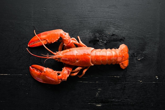 Homard bouilli sur fond noir Vue de dessus Espace de copie gratuit