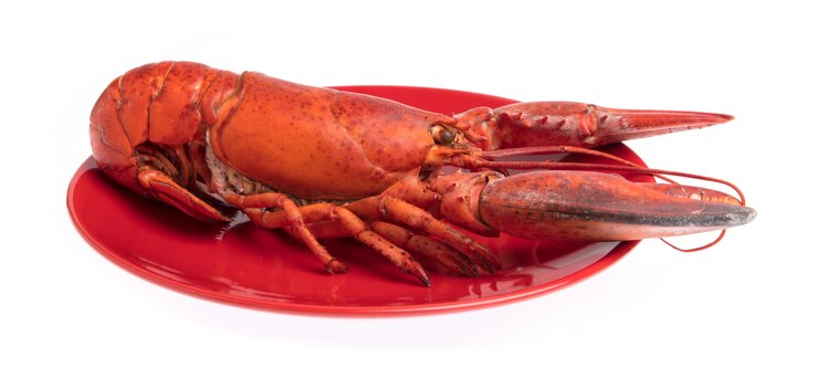 Photo homard, écrevisses bouillies sur plat isolé sur fond blanc