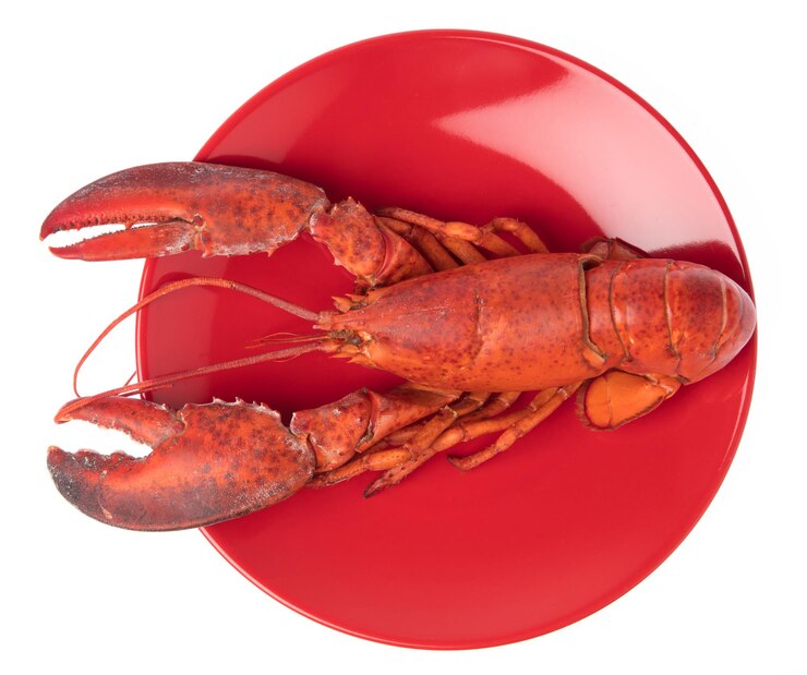 Photo homard, écrevisses bouillies sur plat isolé sur fond blanc