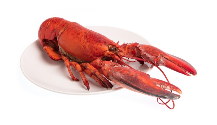Photo homard, écrevisses bouillies sur plat isolé sur fond blanc