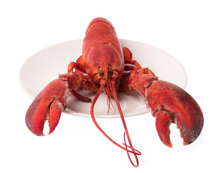 Photo homard, écrevisses bouillies sur plat isolé sur fond blanc