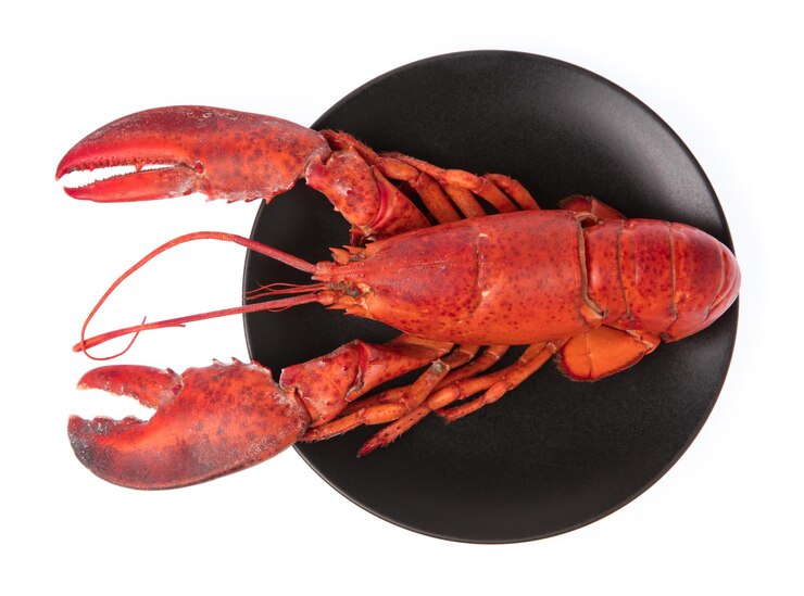 Photo homard, écrevisses bouillies sur plat isolé sur fond blanc