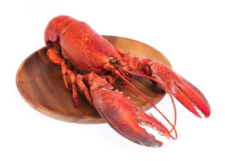 Photo homard, écrevisses bouillies sur plat isolé sur fond blanc