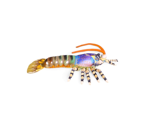 Un homard farci qui a un corps coloré et une carapace colorée