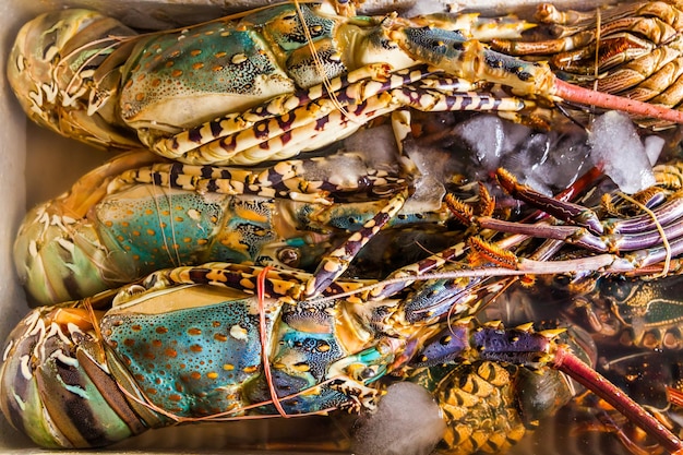 Homard frais au marché de fruits de mer Bali