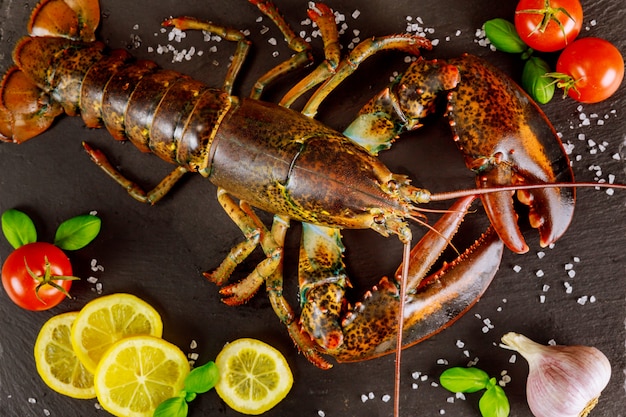 Homard frais sur tableau noir avec épices et légumes