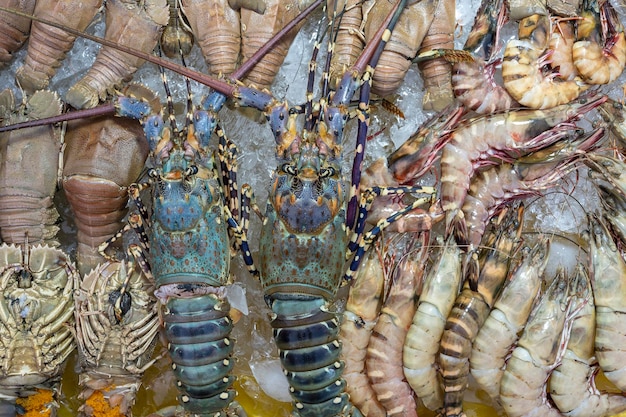 Homard frais à vendre au marché de l'alimentation de rue à Kota Kinabalu, île de Bornéo, Malaisie, fruits de mer en gros plan