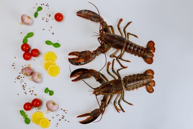 Homards frais isolés sur une surface blanche avec des épices