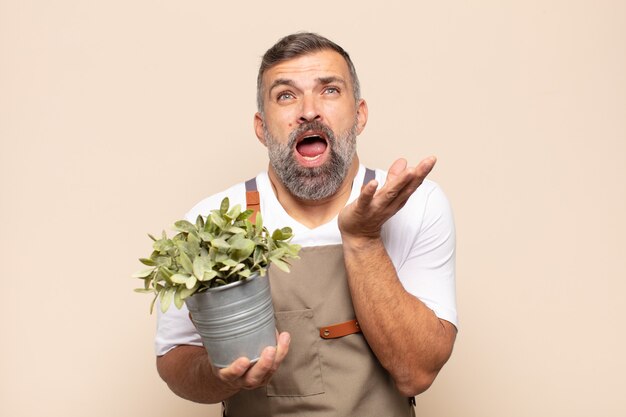 Homme adulte à la recherche désespérée et frustrée, stressée, malheureuse et agacée, criant et criant