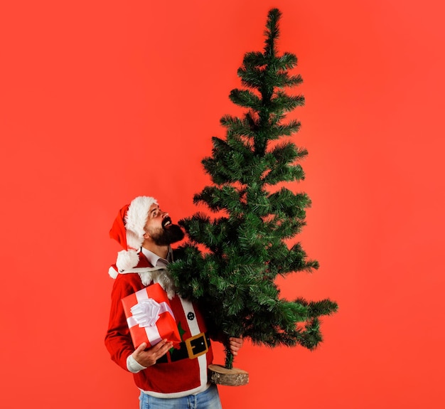 Un homme d'affaires barbu avec un chapeau de Père Noël avec un arbre de Noël et une boîte à cadeaux.