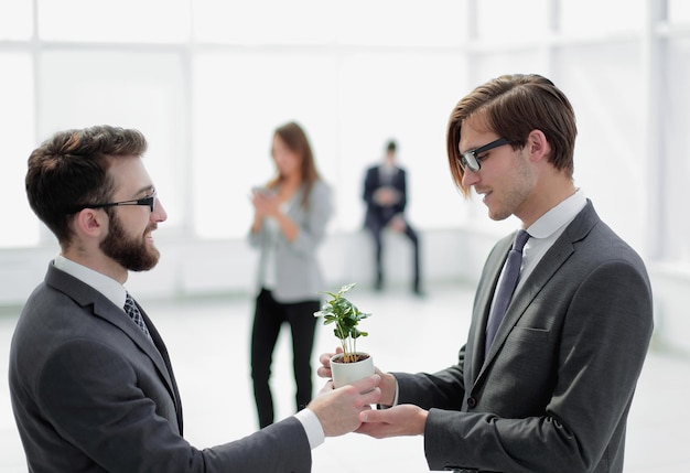 L'homme d'affaires donne à son associé un jeune plant