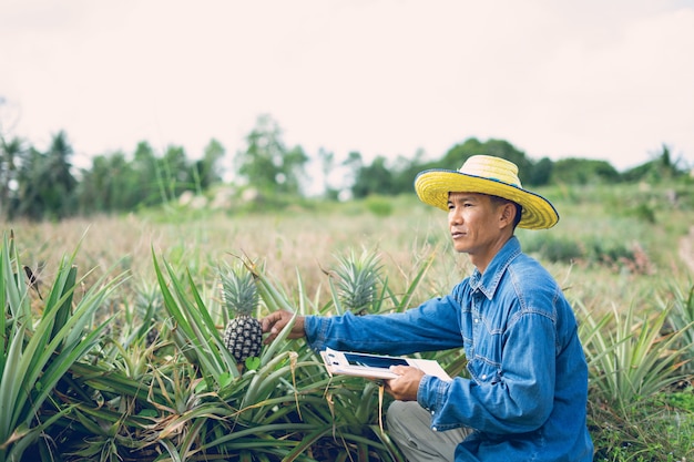 Homme d&#39;affaires fermier tenant la tablette debout dans le champ d&#39;ananas. Notion d&#39;agriculteur intelligent.