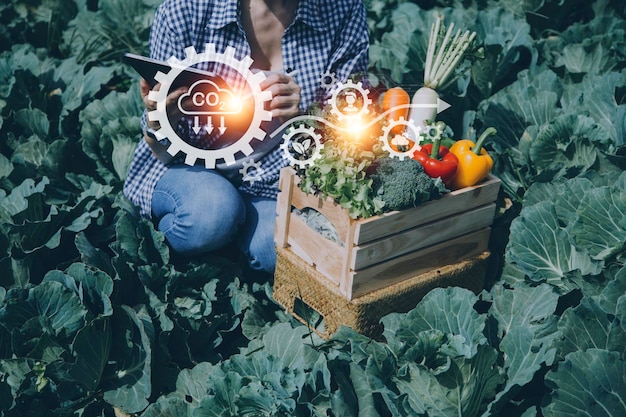 Photo un homme d'affaires futuriste cultive des légumes et des cultures à l'aide de la technologie moderne de l'ia à l'aide de capteurs de température et d'humidité des téléphones mobiles suivi de l'eau contrôle du climat icônes de données de données holographiques