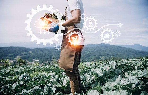 Un homme d'affaires futuriste cultive des légumes et des cultures à l'aide de la technologie moderne de l'IA à l'aide de capteurs de température et d'humidité des téléphones mobiles suivi de l'eau contrôle du climat icônes de données de données holographiques