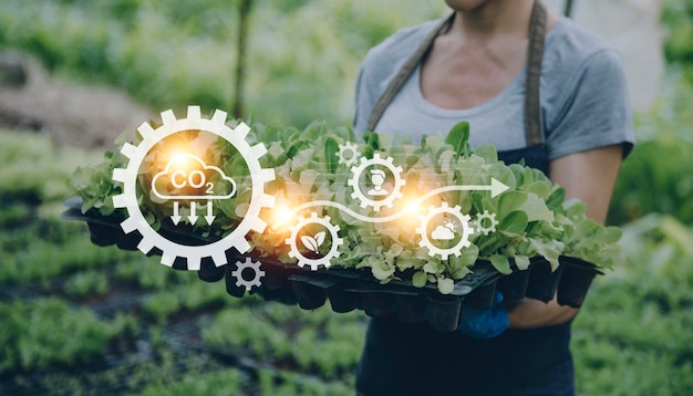 Un homme d'affaires futuriste cultive des légumes et des cultures à l'aide de la technologie moderne de l'IA à l'aide de capteurs de température et d'humidité des téléphones mobiles suivi de l'eau contrôle du climat icônes de données de données holographiques