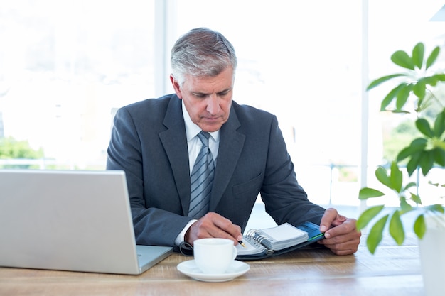 Homme d&#39;affaires vérifiant son journal